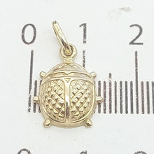 Load image into Gallery viewer, Image #9