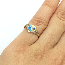 Load image into Gallery viewer, Image #6