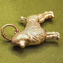 Load image into Gallery viewer, Image #2