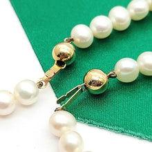 Load image into Gallery viewer, Image #6