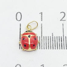 Load image into Gallery viewer, Image #10