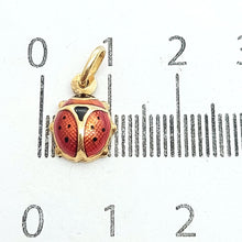 Load image into Gallery viewer, Image #11