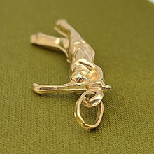 Load image into Gallery viewer, Image #5