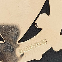 Load image into Gallery viewer, Ladies Pendant 9ct (375, 9K) Rose Gold Shield Pendant