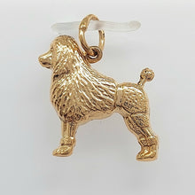 Load image into Gallery viewer, Image #5
