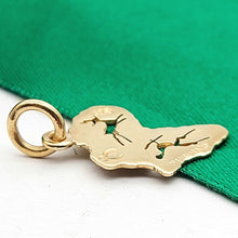 Load image into Gallery viewer, Image #5
