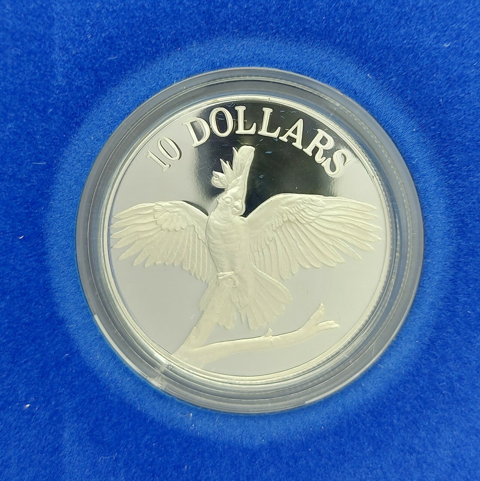 Image #2