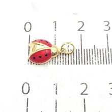 Load image into Gallery viewer, Image #9
