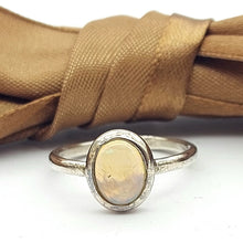 Load image into Gallery viewer, Image #1
