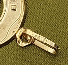 Load image into Gallery viewer, Unisex Pendant Yellow Gold 18ct (750, 18K) Unique Lucky Horseshoe Pendant

